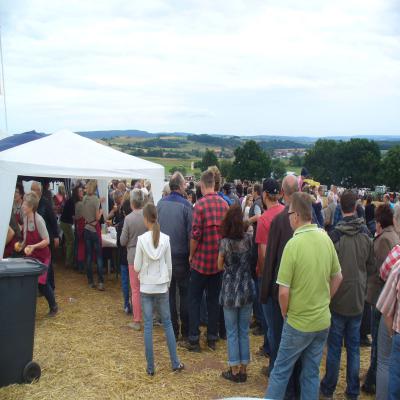 Foto des Albums: Feldtag 2013