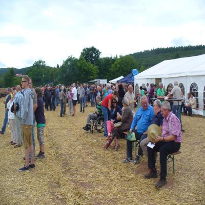 Foto des Albums: Feldtag 2013
