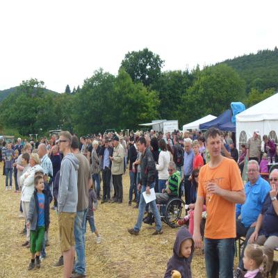 Foto des Albums: Feldtag 2013