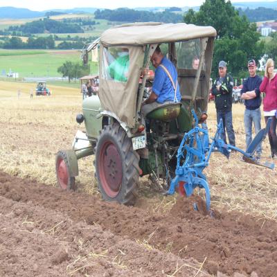 Foto des Albums: Feldtag 2013