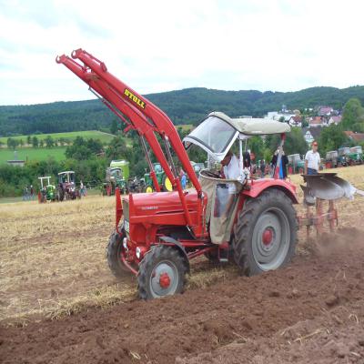 Foto des Albums: Feldtag 2013