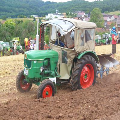 Foto des Albums: Feldtag 2013