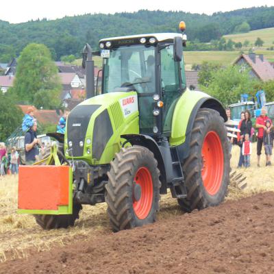Foto des Albums: Feldtag 2013