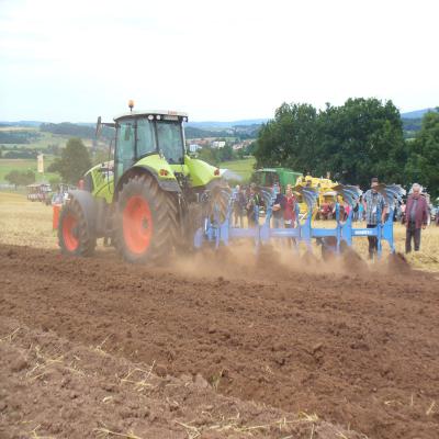 Foto des Albums: Feldtag 2013