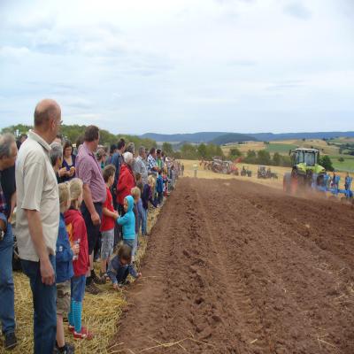 Foto des Albums: Feldtag 2013
