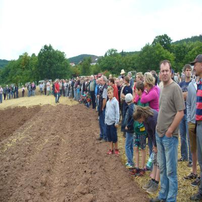 Foto des Albums: Feldtag 2013