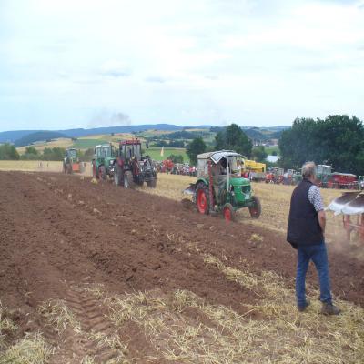 Foto des Albums: Feldtag 2013