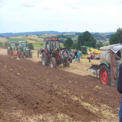 Foto des Albums: Feldtag 2013