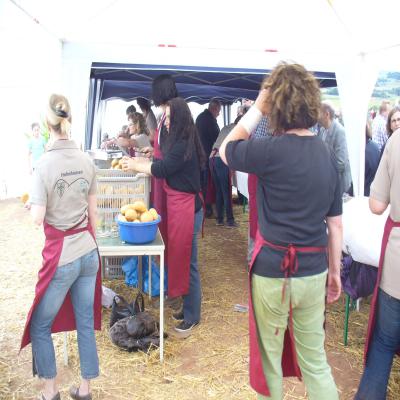 Foto des Albums: Feldtag 2013
