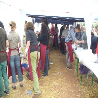Foto des Albums: Feldtag 2013