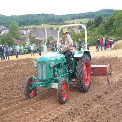 Foto des Albums: Feldtag 2013
