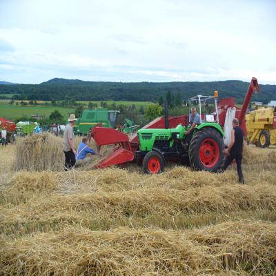 Foto des Albums: Feldtag 2013