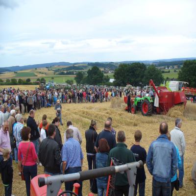 Foto des Albums: Feldtag 2013