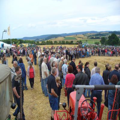 Foto des Albums: Feldtag 2013