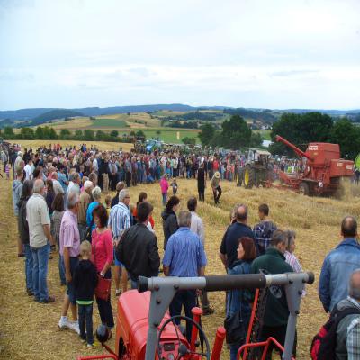 Foto des Albums: Feldtag 2013