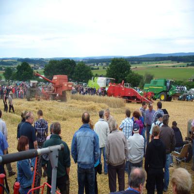Foto des Albums: Feldtag 2013