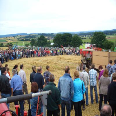Foto des Albums: Feldtag 2013