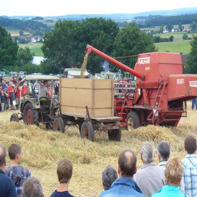Foto des Albums: Feldtag 2013