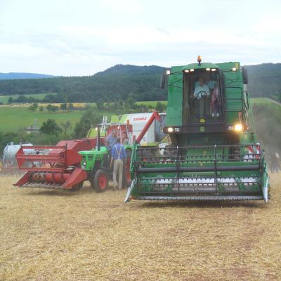Foto des Albums: Feldtag 2013
