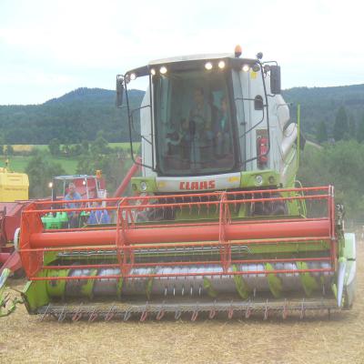 Foto des Albums: Feldtag 2013