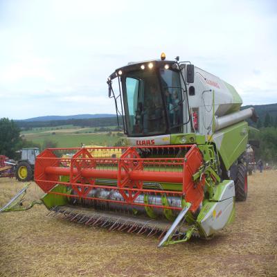 Foto des Albums: Feldtag 2013