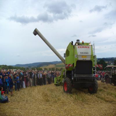 Foto des Albums: Feldtag 2013