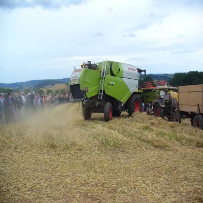 Foto des Albums: Feldtag 2013