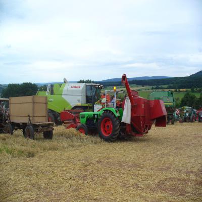 Foto des Albums: Feldtag 2013