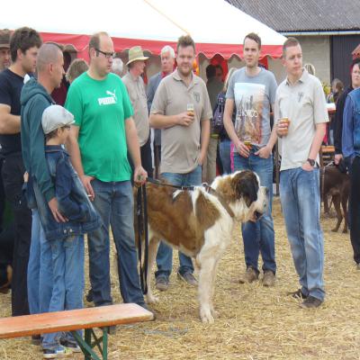 Foto des Albums: Feldtag 2013