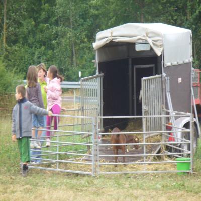 Foto des Albums: Feldtag 2013