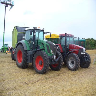 Foto des Albums: Feldtag 2013