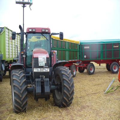Foto des Albums: Feldtag 2013