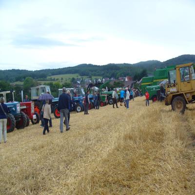 Foto des Albums: Feldtag 2013