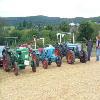 Foto des Albums: Feldtag 2013