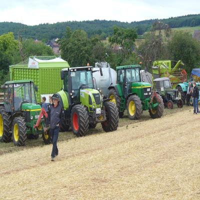 Foto des Albums: Feldtag 2013
