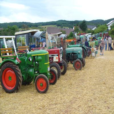 Foto des Albums: Feldtag 2013
