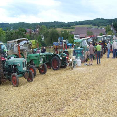 Foto des Albums: Feldtag 2013