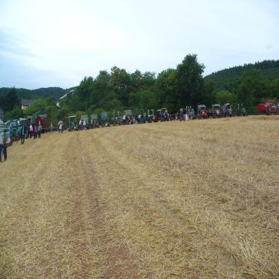 Foto des Albums: Feldtag 2013