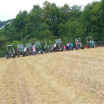 Foto des Albums: Feldtag 2013