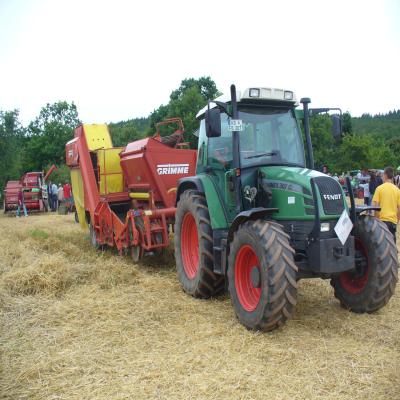 Foto des Albums: Feldtag 2013