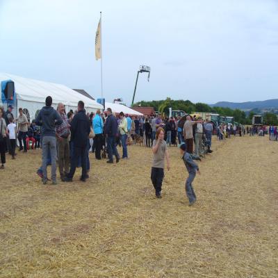 Foto des Albums: Feldtag 2013