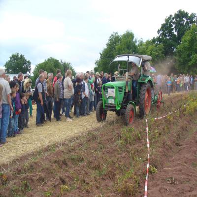 Foto des Albums: Feldtag 2013