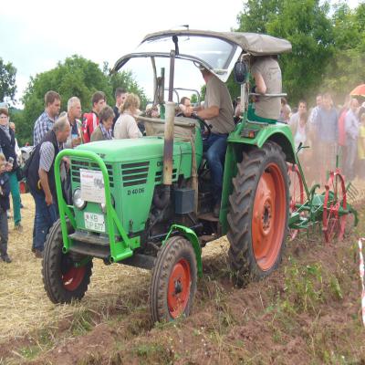 Foto des Albums: Feldtag 2013