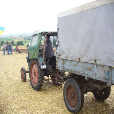 Foto des Albums: Feldtag 2013