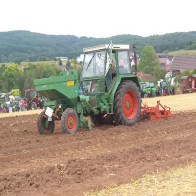 Foto des Albums: Feldtag 2013