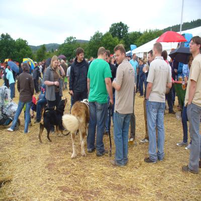 Foto des Albums: Feldtag 2013