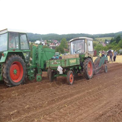 Foto des Albums: Feldtag 2013