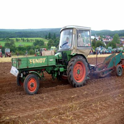 Foto des Albums: Feldtag 2013