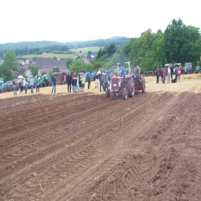 Foto des Albums: Feldtag 2013