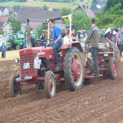Foto des Albums: Feldtag 2013